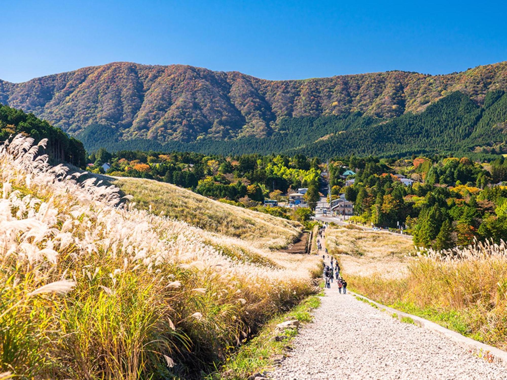 Hotel Shikinoyakata Hakone Ashinoko Екстер'єр фото